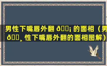 男性下嘴唇外翻 🐡 的面相（男 🕸 性下嘴唇外翻的面相图解）